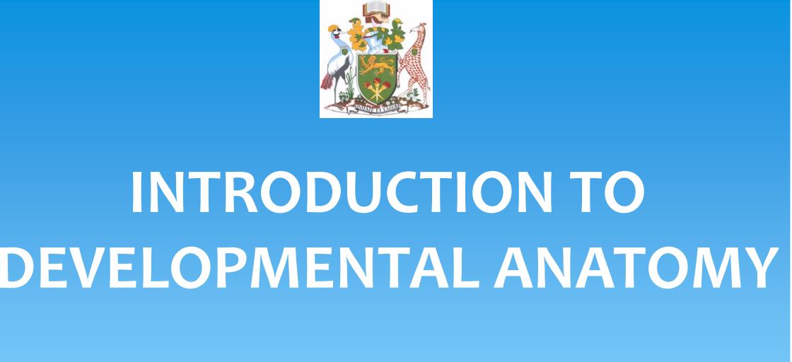 No preview available